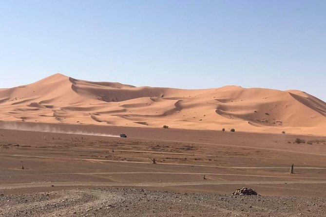 Camel Ride Experience - Key highlights at a glance