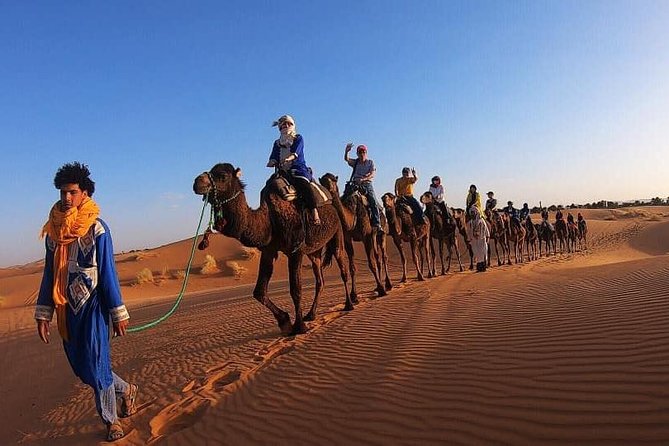 Camel Ride Experience - Finding Kasbah Mohayut in Hassilabied without losing your group