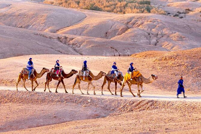Camel Ride Experience in Agafay Desert with Dinner in Berber Camp - Price and value: is $32.53 actually fair?