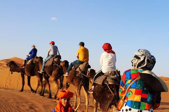 Camel Ride Experience - Camel ride basics: how the time on the dromedary works