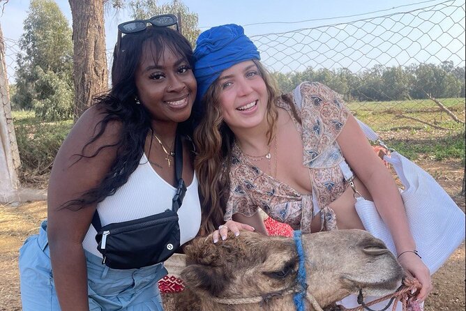 Camel ride in agadir at sunset with barbecue and couscous - Key things to know before you go