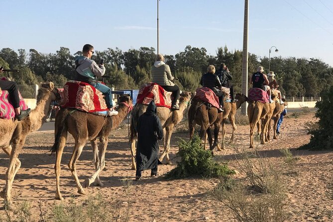 Camel ride in agadir at sunset with barbecue and couscous - The BBQ and couscous dinner: why it’s more than an afterthought