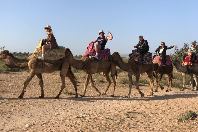 Camel ride in agadir at sunset with barbecue and couscous - Price and value: what you’re really paying for