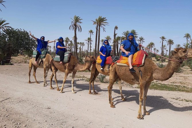 Camel Ride in Marrakech desert palmgrove - Key things I think you will enjoy
