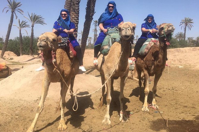 Camel Ride in Marrakech desert palmgrove - A 1-Hour Camel Ride Outside Marrakech’s Palm Grove World