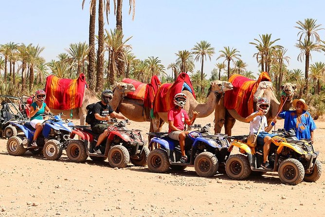 Camel Ride in Marrakech desert palmgrove - The Camel Guide Moment: What Your Ride Actually Feels Like