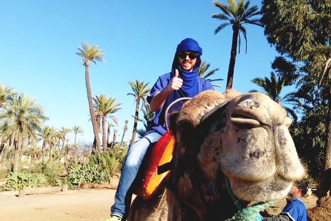 Camel Ride in Marrakech with Hotel-Pick up and Drop-off Included - Mint Tea Time: Why That Cup Matters More Than You Think
