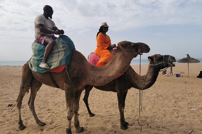 Camel ride in Tanger - The 30-Minute Camel Ride: The Main Event on the Beach Route