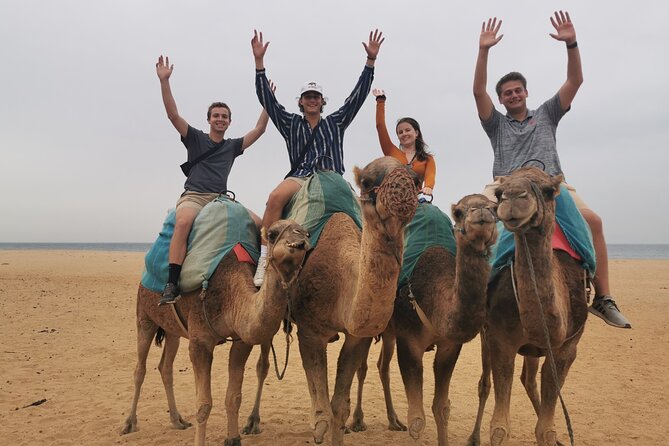 Camel ride in Tanger - How Guides Shape Your Day (and Why Language Helps)