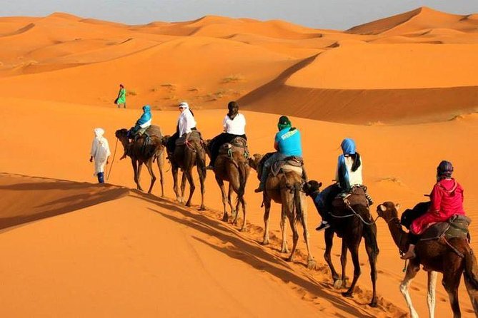 Camel ride in Tanger - Pickup, Timing, and Group Size (The Practical Stuff)