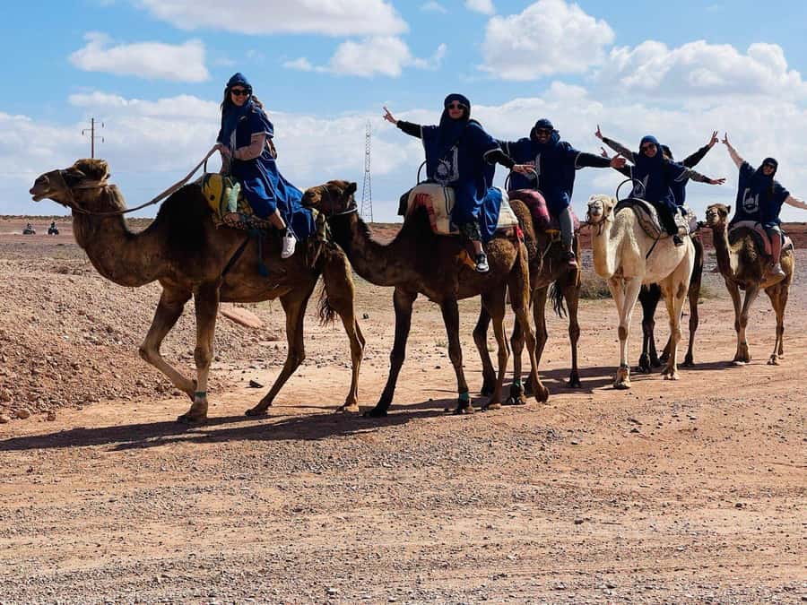 Camel ride in the desert Palmeraie Marrakech - What You’re Getting on a Palmeraie Camel Ride (and Why It Works)