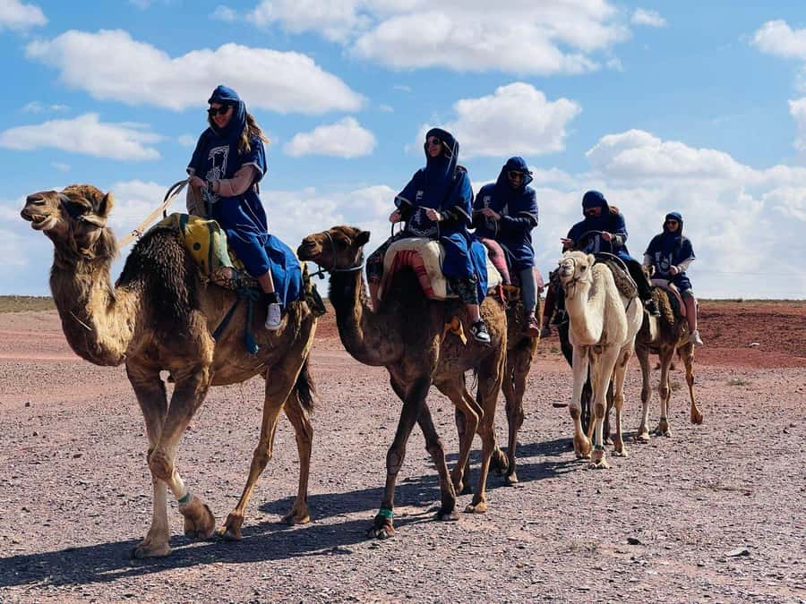 Camel ride in the desert Palmeraie Marrakech - The Ride Itself: Palms, Breeze, and the Camel’s Pace