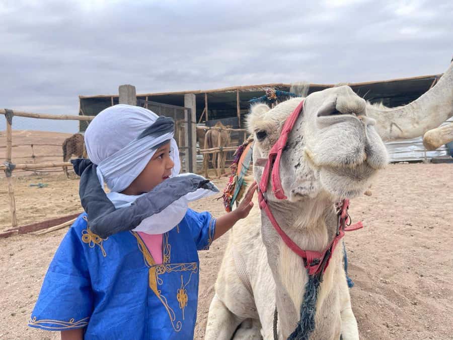 Camel ride in the desert Palmeraie Marrakech - Moroccan Mint Tea: A Real Break, Not Just a Drink