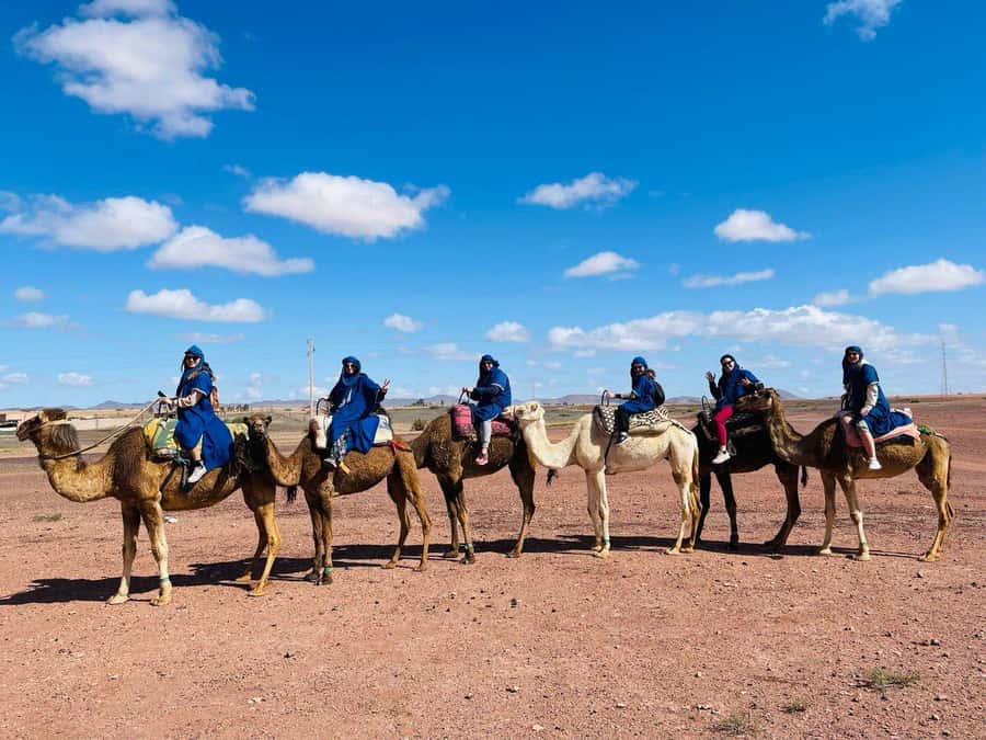 Camel ride in the desert Palmeraie Marrakech - Berber Villages and Local Contact: What’s Promised vs. What You Should Verify