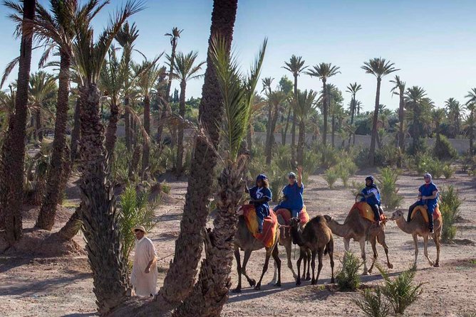 Camel Ride in the Palmeraie of Marrakech - Who Should Book This Camel Ride in the Palmeraie?