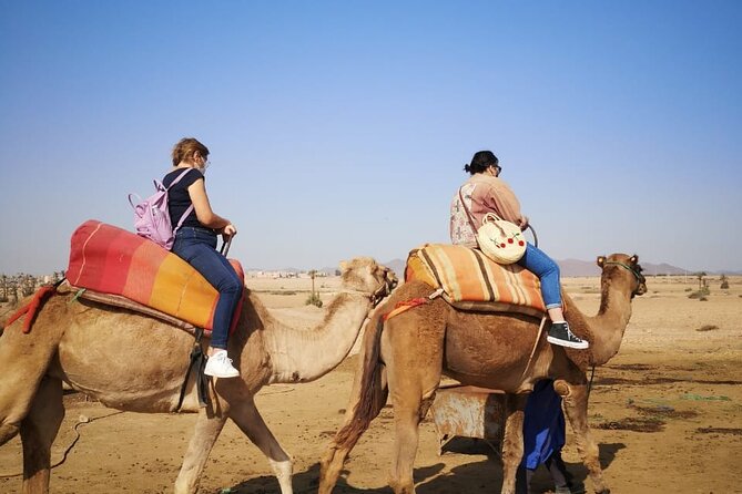Camel ride Marrakech palmeraie - Mint Tea With Berbers: The Calm Pause That Makes It Worthwhile