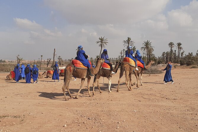 Camel ride Marrakech palmeraie - Price and Value: What $20.03 Really Buys in Marrakech