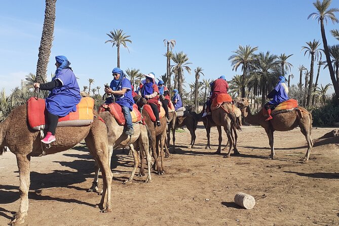 Camel ride Marrakech palmeraie - Who This Camel Ride Is Best For (And Who Should Rethink It)