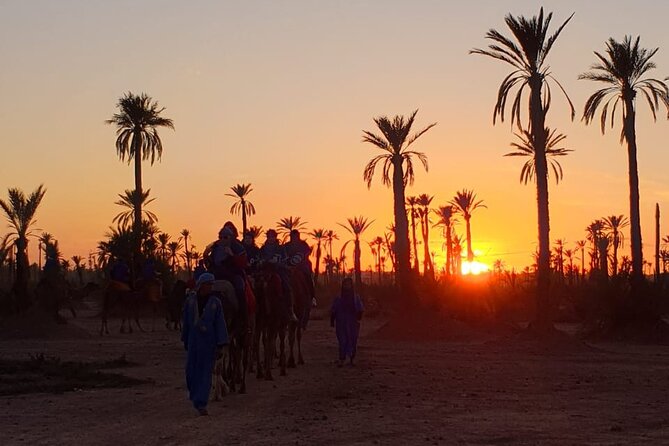 Camel ride Marrakech - Getting There: Pickup, Mobile Ticket, and a Smooth Start