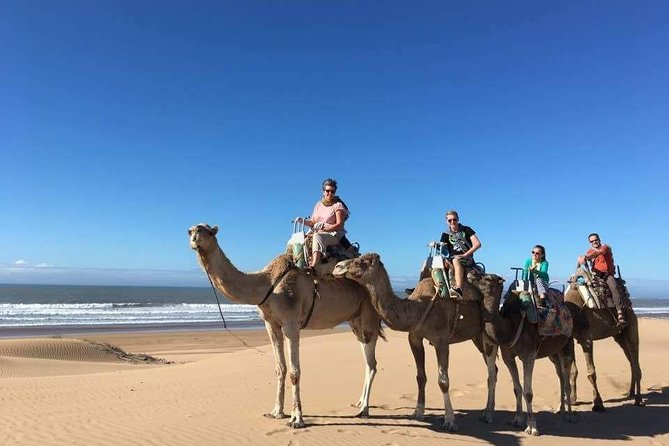 Camel Ride on the Beach of Essaouria - Getting there the easy way: pickup, helmets, and small-group comfort