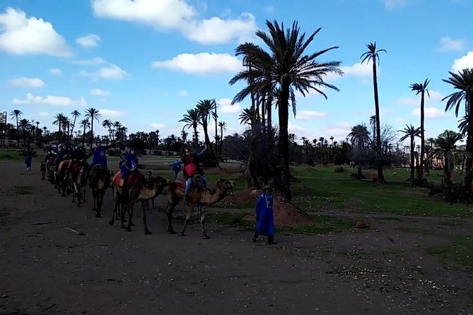 camel ride on the palm grove marrakech - Price and Value: Does $29.43 Make Sense?