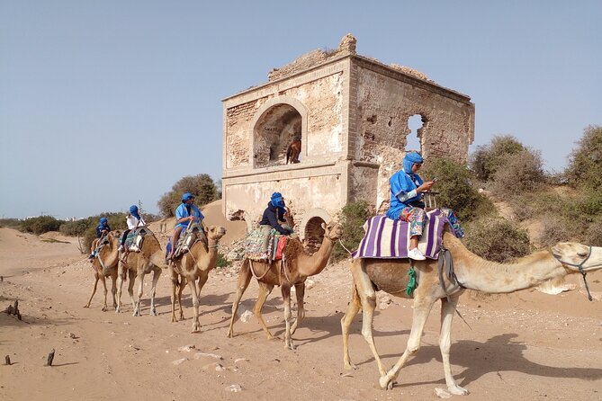 Camel ride or quad bike ride.. pick up, drop off. including - Camel riding in Essaouira: Ocean Vagabond pickup and the pace you’ll feel