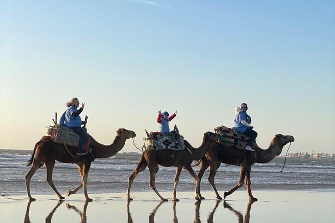 Camel ride or quad bike ride.. pick up, drop off. including - Sunset versus daytime: timing for best light near the Atlantic