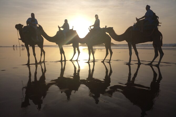Camel ride or quad bike ride.. pick up, drop off. including - Price and value at about $22.10: why this feels like a good deal