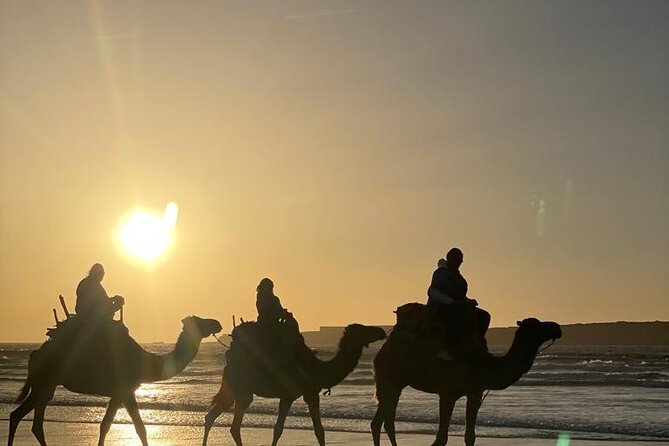 Camel ride or quad bike ride.. pick up, drop off. including - The camel ride itself: one-humped dromedaries, calm handling, and photo help
