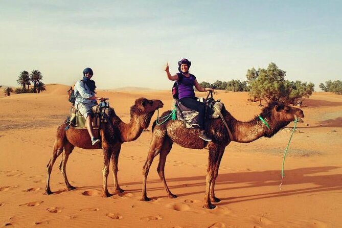 Camel Ride & Overnight Berber Camps in Merzouga Desert - The sunset dune climb and sandboarding session