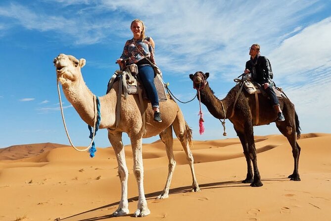 Camel Ride & Overnight Berber Camps in Merzouga Desert - Berber camp overnight: private tent comfort without the fuss