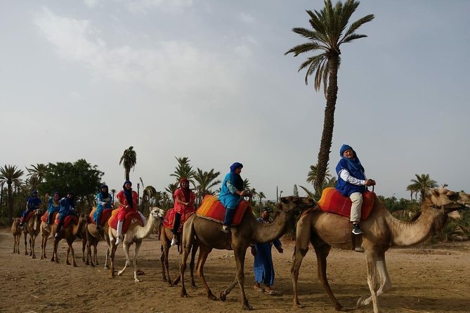 Camel Ride & Quad Bike tours in the palm grove of Marrakech - Palm Grove Peace Meets Quad-Safari Energy