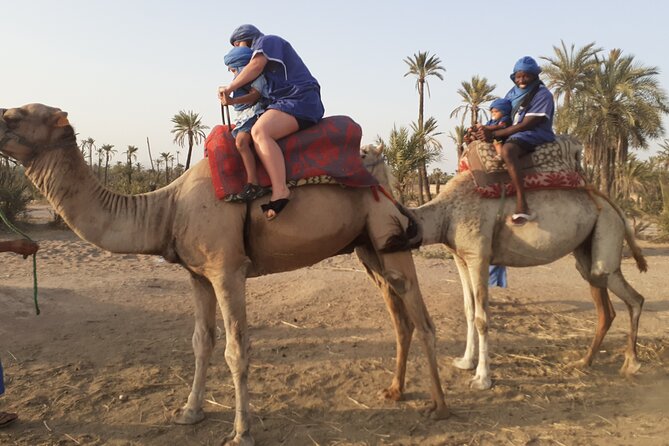 Camel Ride & Quad Bike tours in the palm grove of Marrakech - Getting From Your Riad to the Palmeraie (Without Stress)