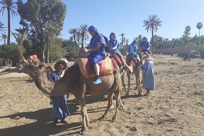 Camel Ride & Quad Bike tours in the palm grove of Marrakech - How the 4 Hours Really Work (And Why It Feels Fair)