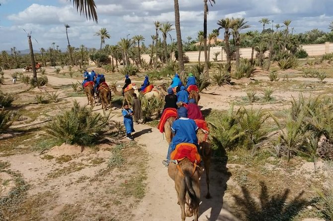 Camel Ride & Quad Bike tours in the palm grove of Marrakech - Quad Bike Safari: One Hour of Controlled Adrenaline