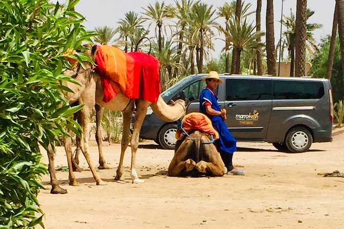 Camel Ride & Quad Biking Half Day in Marrakech - Key things to know before you go