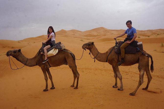Camel Ride With Luxury Desert Camp And Night In Merzouga Dunes - Luxury bivouac setup in the dunes: private tent comforts that change the math