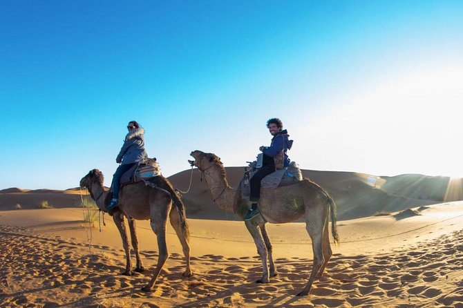 Camel Ride With Luxury Desert Camp And Night In Merzouga Dunes - Meeting point, timing, and how to plan your day