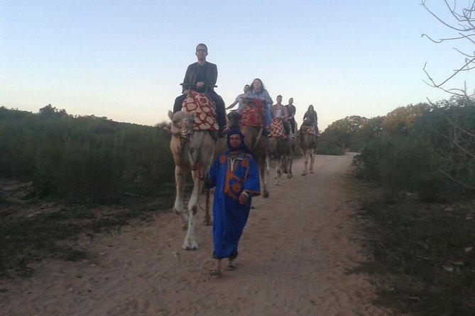 Camel Riding - Getting to the Ranch Club from Agadir (and not wasting time)