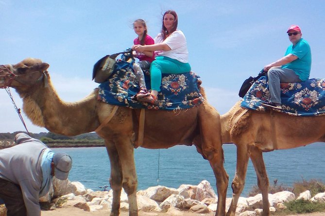Camel Riding - Eucalyptus forest and the royal palace stretch: a calmer kind of sightseeing