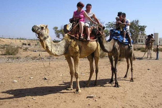 Camel Riding - Small-group pacing with Bakhazouz Tours (and a guide named Hassan)