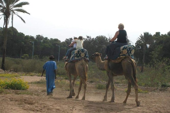 Camel Riding - Price and value: what $22.08 gets you in real terms