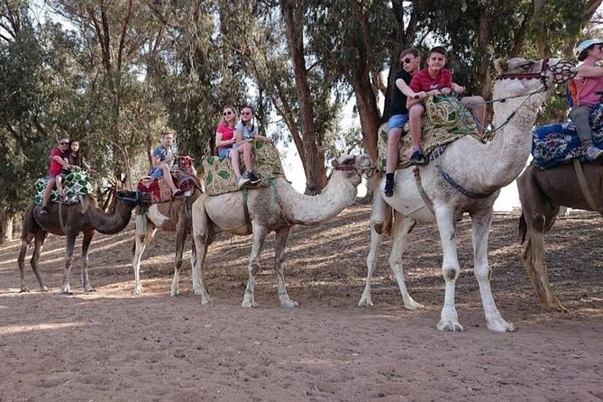 Camel Riding - What to bring so the ride feels easy