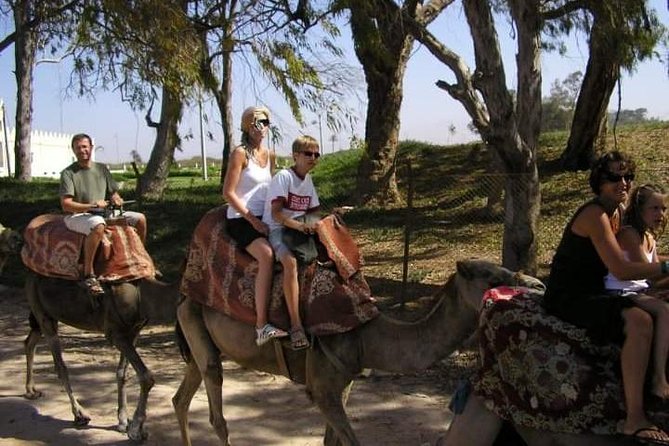Camel Riding - Who should book this camel riding in Agadir?