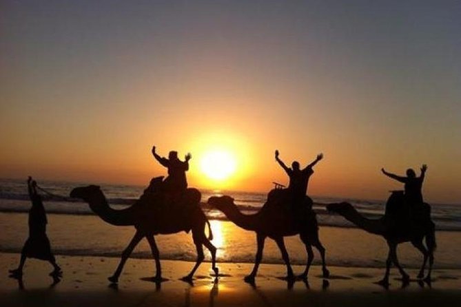 Camel Riding Agadir - Camel Ride With Wildlife on the Souss Massa River