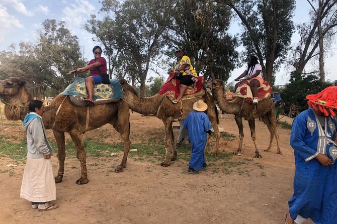 Camel Riding Agadir - The Sandy Beach and Dunes Ride: What to Expect (and What to Manage)
