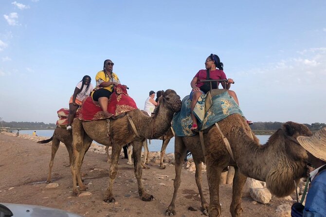 Camel Riding Agadir - Private by Design: Your Group Sets the Pace