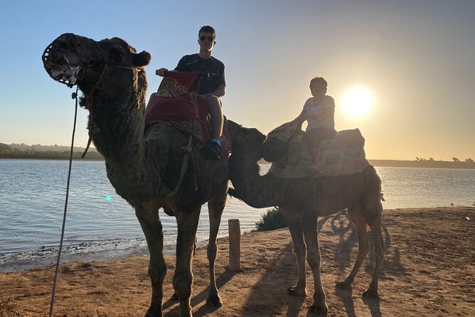 Camel Riding Agadir - Price and Value for $29.04: When This Is a Smart Use of Your Day