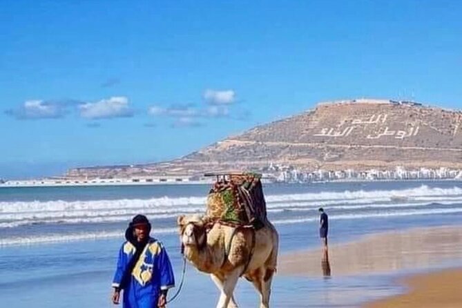 Camel Riding Agadir - Comfort Tips for a Good Camel Day in Agadir