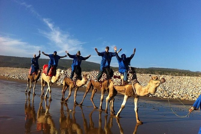 Camel Riding Agadir - Hotel Pickup to the Eucalyptus Forest: Start Easy